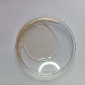 import placeholder for 2721