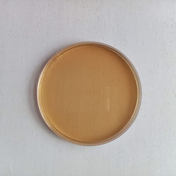 import placeholder for 2754