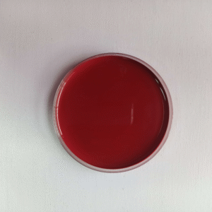 import placeholder for 1152