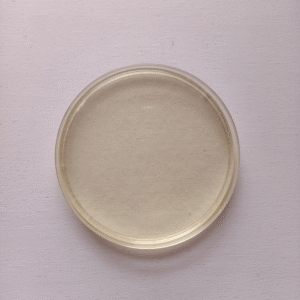 import placeholder for 172