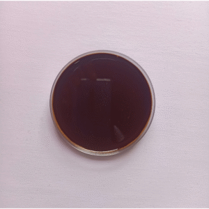import placeholder for 501