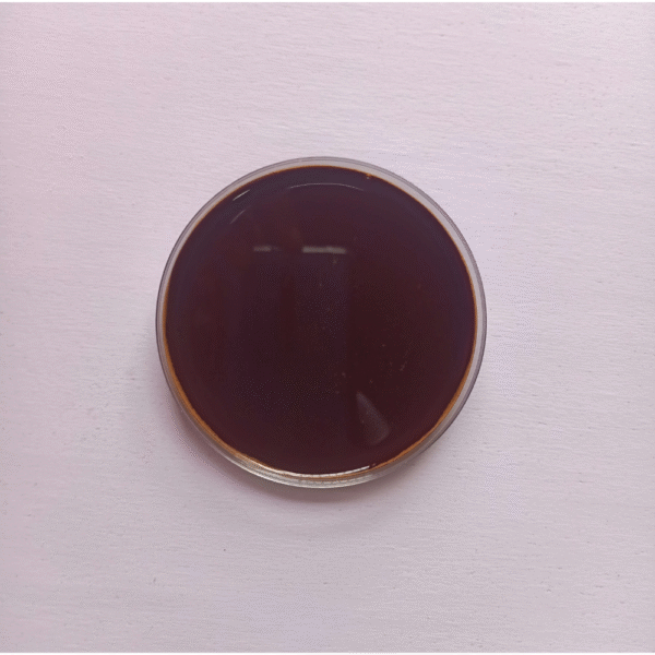 import placeholder for 501